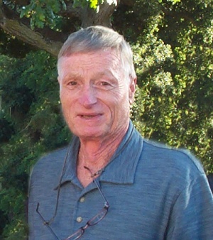 David W. Scholl
