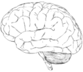 Thumbnail for version as of 09:56, 19 July 2026